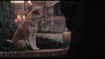 日本 狗电影大全,温情脉脉的犬类故事集结