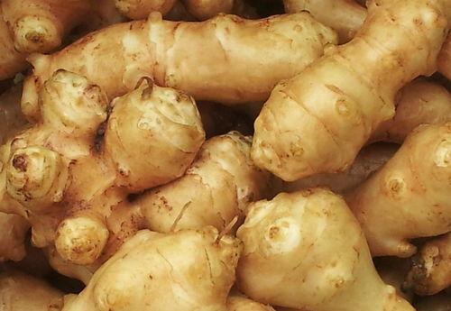 洋姜的图片,色彩斑斓的地下宝藏，营养丰富的健康食材