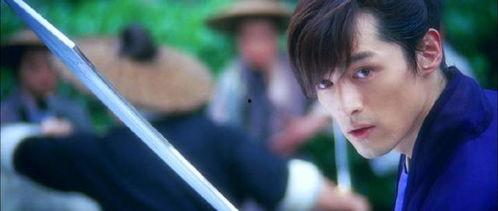 胡歌剑蝶在线观看,胡歌演绎的浪漫武侠传奇，在线观看重温经典