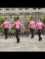 广场舞视频教程,轻松入门，舞动健康生活