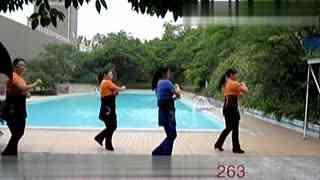 广场舞视频教程,轻松入门，舞动健康生活