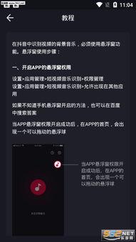 视频音乐识别,揭秘视频音乐识别的奥秘
