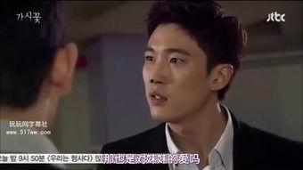 国语韩剧荆棘花,复仇与爱情的交织