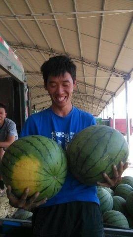 青州谭坊今日瓜价,今日瓜价行情一览”