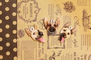 心灵代码动漫在线观看,动漫世界里的心灵之旅