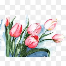 水彩图片大全,捕捉光影流转的艺术之美