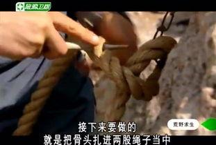 沙漠惊魂在线观看,惊险求生之旅