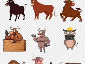 野生黄牛图片,草原上的雄壮守护者