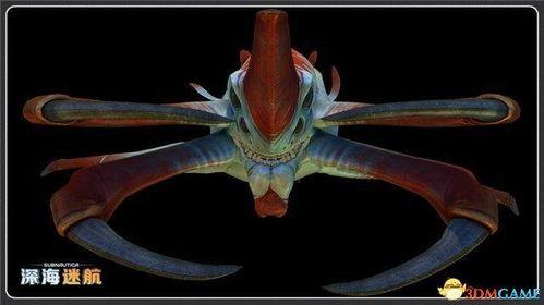 异星生物国语,揭秘未知宇宙生命之谜