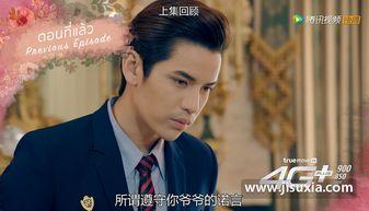 野蛮王妃国语版全集