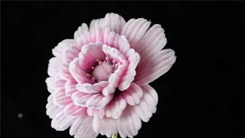 绒花图片,探寻传统与现代交织的美丽画卷